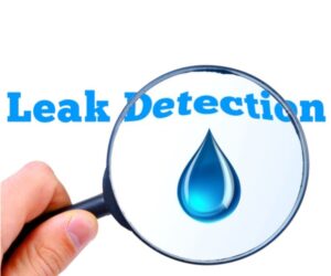 magnifying hidden leaks