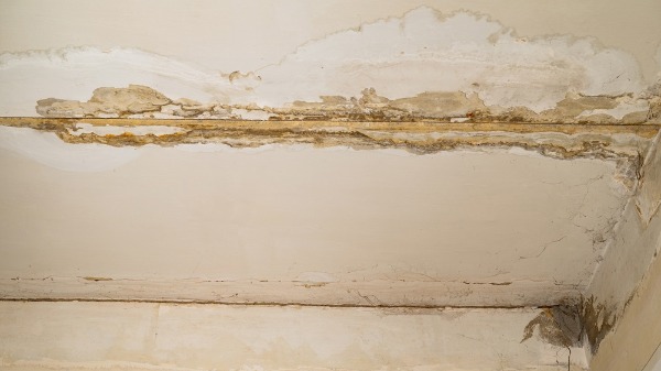 ceiling water damage and plumbing leak