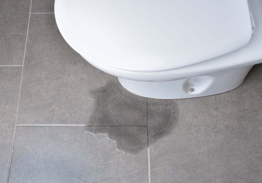 leaky toilet